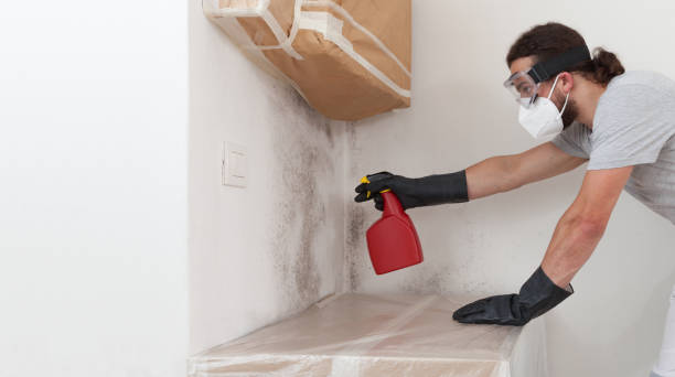 Professional Crawl Space Mold Removal technician working in Antioch, IL