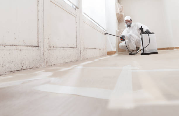24/7 Emergency Crawl Space Mold Removal experts in Antioch, IL