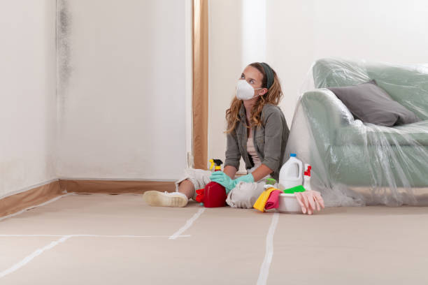 Reliable Mold Cleanup contractor in Antioch, IL by Cheap Mold Removal