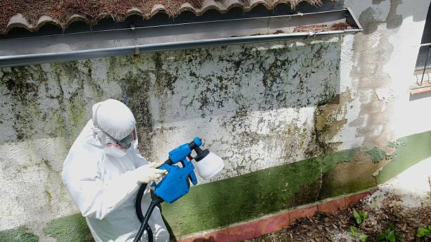 Trusted Mold Testing service in Antioch, IL - Cheap Mold Removal
